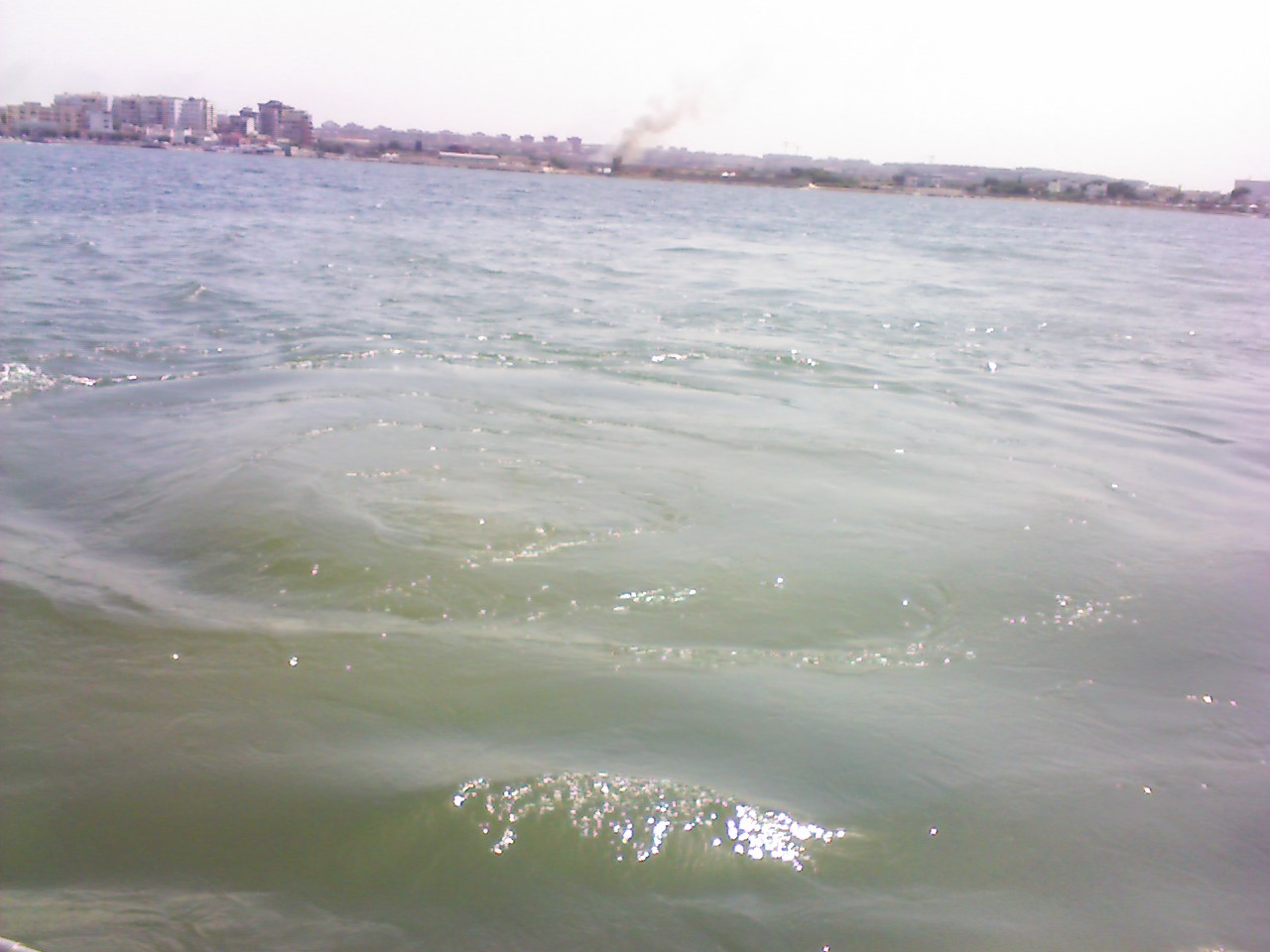 DSC_00187.jpg 