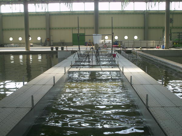 PICT1014_mod.JPG 